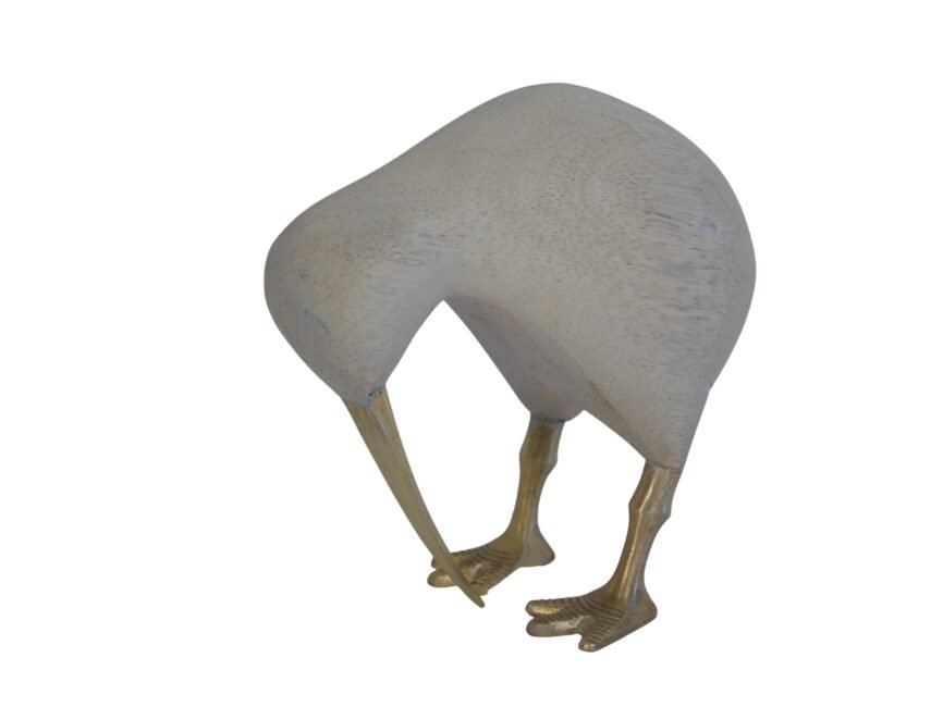 Wooden Kiwi with Brass Leg and beak