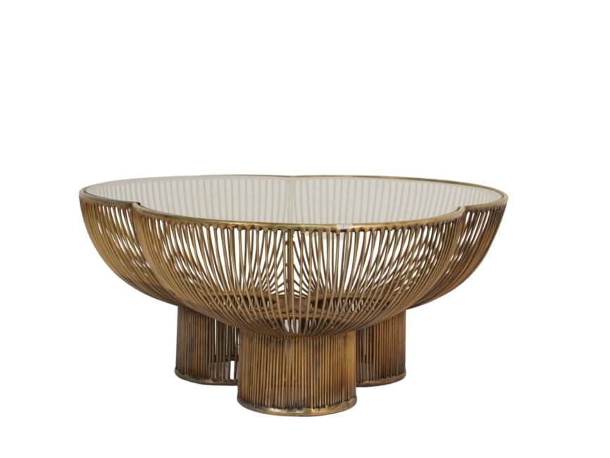 Iron clove design wire coffee table with glass top